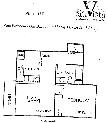 Floor plan D1B | Age 55+