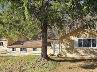 987 Brush Ridge Rd, Fleischmanns, NY 12430