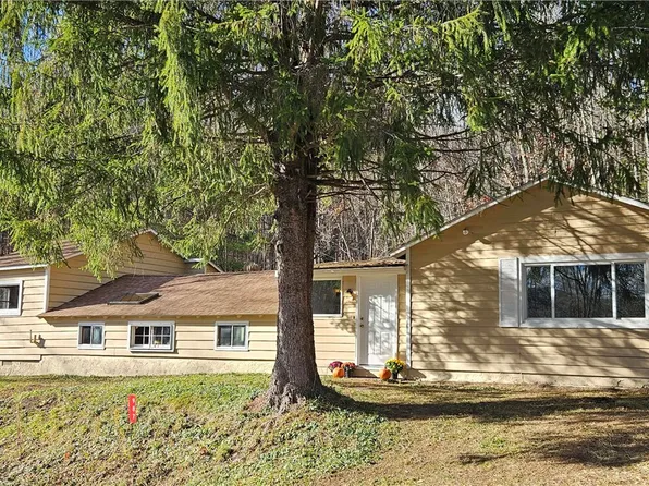 987 Brush Ridge Rd, Fleischmanns, NY 12430