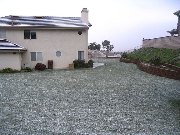 The snowy yard-1.12.07