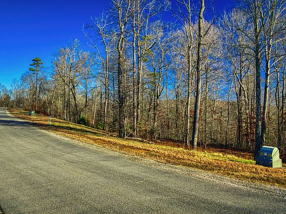 3rd image of 0 N Two Rivers Ln Lot 588