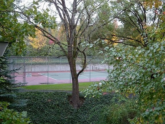 View from back deck to pool/courts