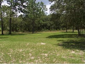 Back acreage