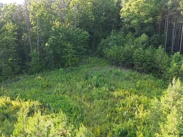 35 Winding Trl, Vonore, TN 37885