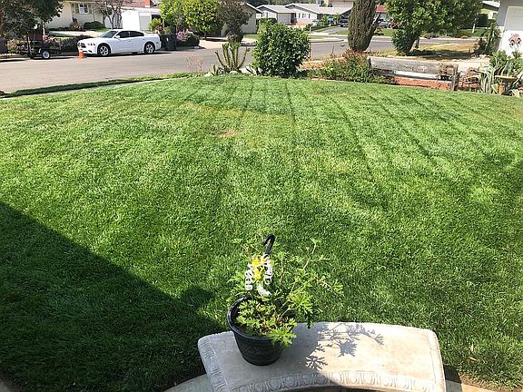 5th image of 222 Orchid Ct