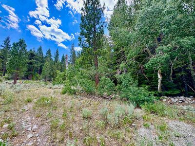 85 Shadow Pines Rd #4-6, June Lake, CA, 93529