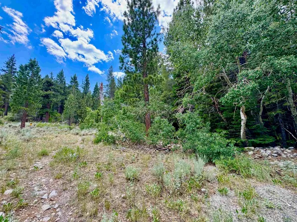 85 Shadow Pines Rd, June Lake, CA 93529