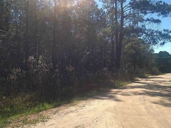 3rd image of Brangus Dr