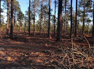 0 Boyd Ave, Hamlet, NC 28345