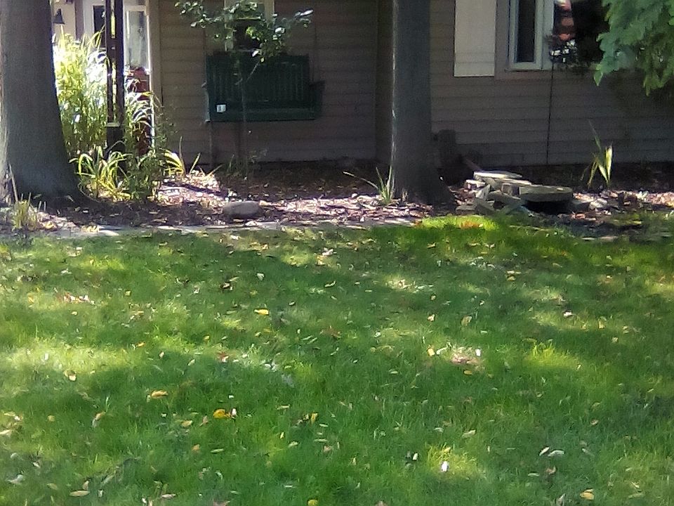 2nd image of 35994 Reeves Rd