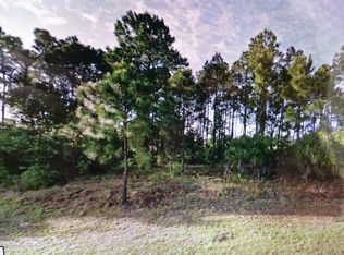 1686 Heartwellville St NW, Palm Bay, FL 32907