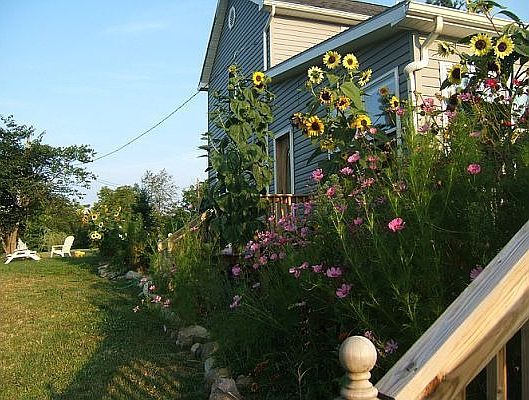 South side of house