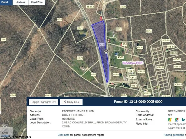 Coalfield Trl, Charmco, WV 25958