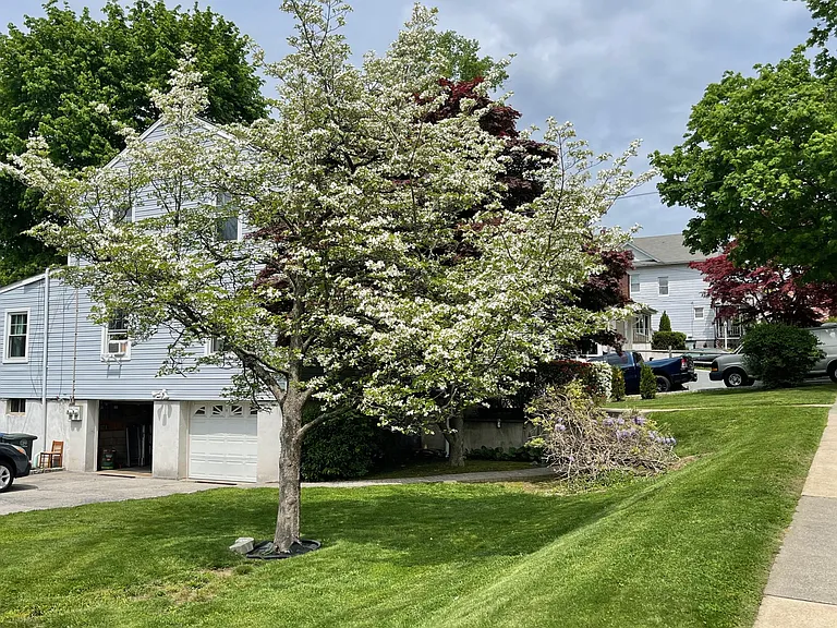 3 Seneca Ave — Photo 25