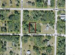 35407 Holmes St, Webster, FL 33597