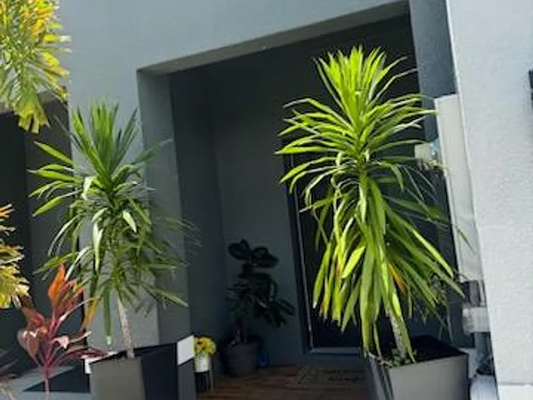 8545 Milestone Dr — Photo 2