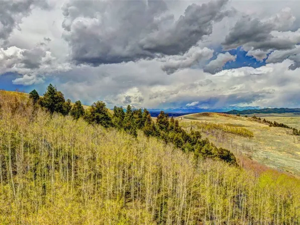 1391 Jicarilla Trail, Hartsel, CO 80449