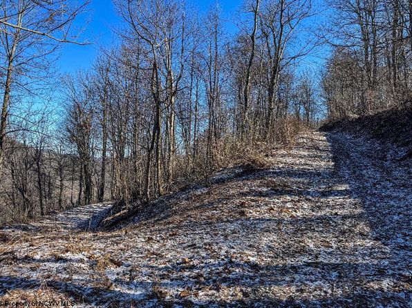 Lantz Ridge Rd, Rowlesburg, WV 26425
