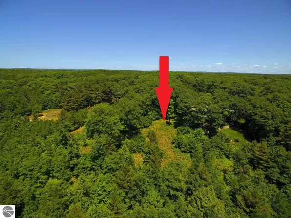 LOT Southview Drive Onekama, Onaway, MI 49765