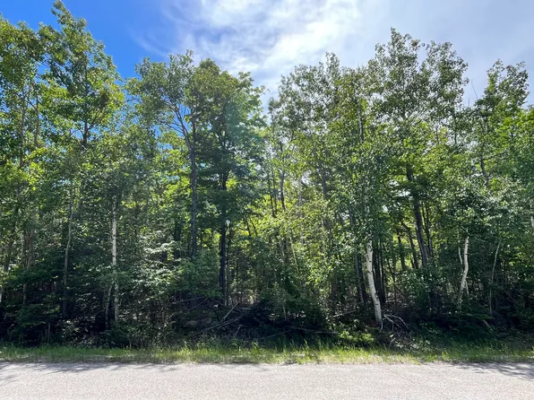 77 & 78 Renwick Cir E, Presque Isle, MI 49777