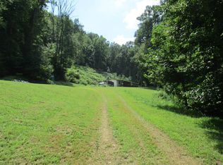791 Barn Run Rd, Frametown, WV 26623