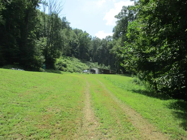 791 Barn Run Rd, Frametown, WV 26623