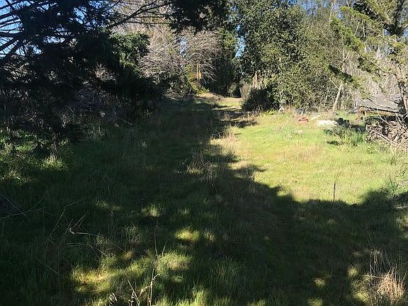 3rd image of 765 Country Wood Ln