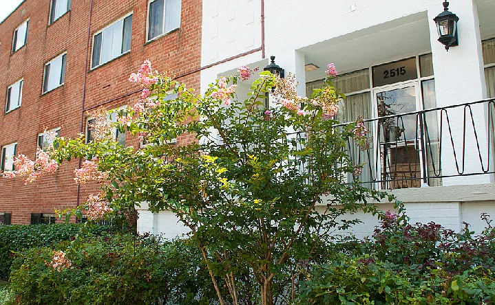 Penn View — Photo 10