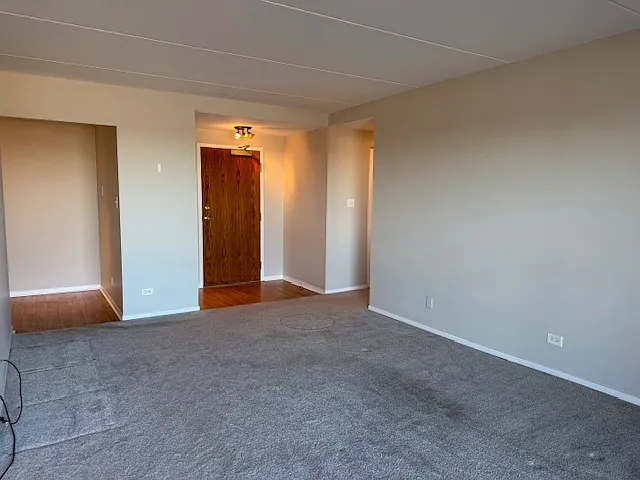 6340 Americana Dr #1102 — Photo 12