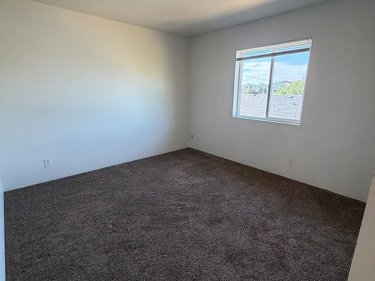 1049 W Lookingglass Rd — Photo 4