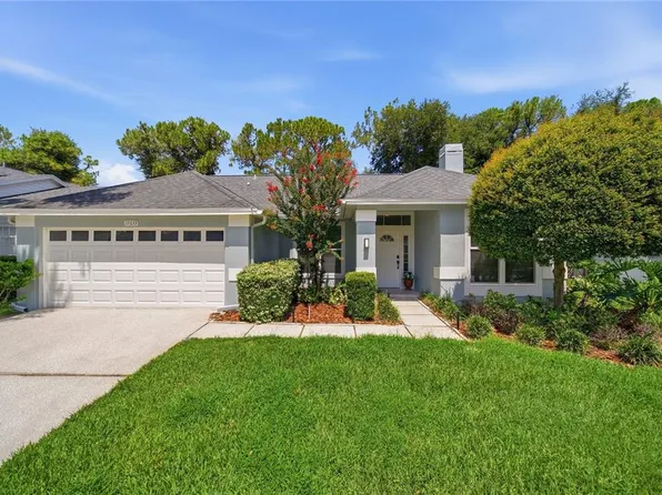 17633 Esprit Dr, Tampa, FL 33647