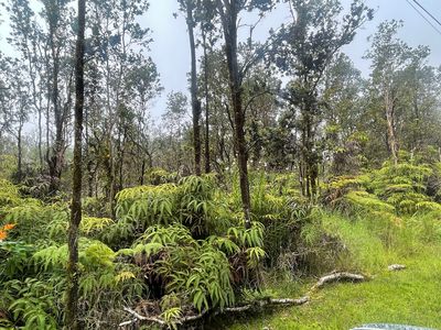 11-2697 Ohialani Rd, Volcano, HI, 96785