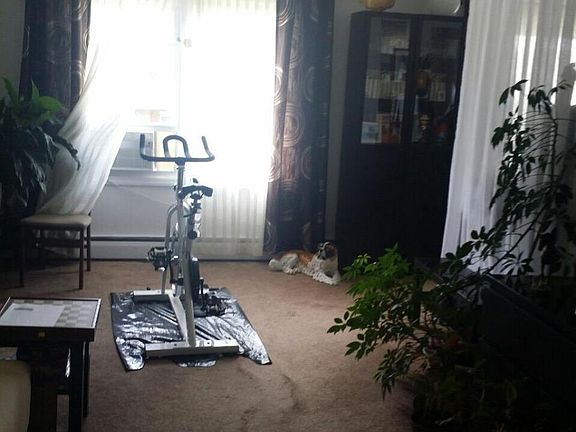 5th image of 64 Hopkins Ave #3BD