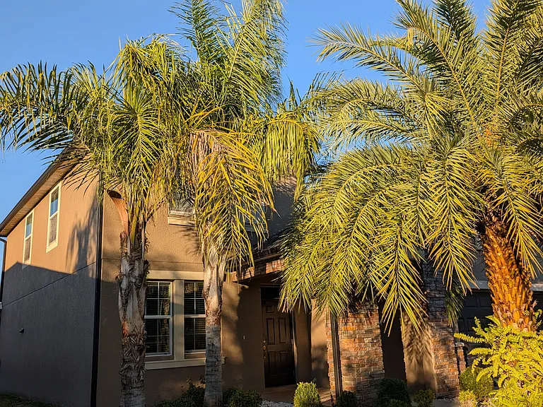 11709 Winterset Cove Dr — Photo 1