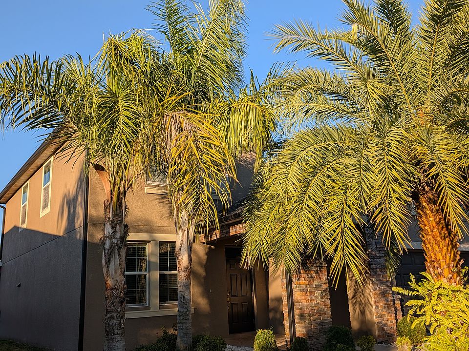 1st image of 11709 Winterset Cove Dr