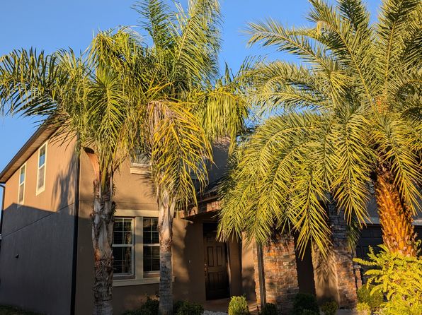 11709 Winterset Cove Dr