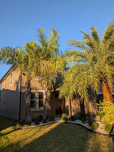 11709 Winterset Cove Dr Photo 1