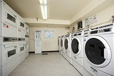 Rented by Maison International