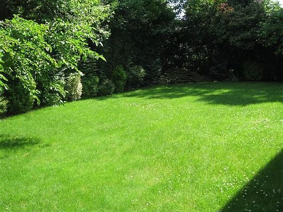 5th image of 811 Edgewood Dr