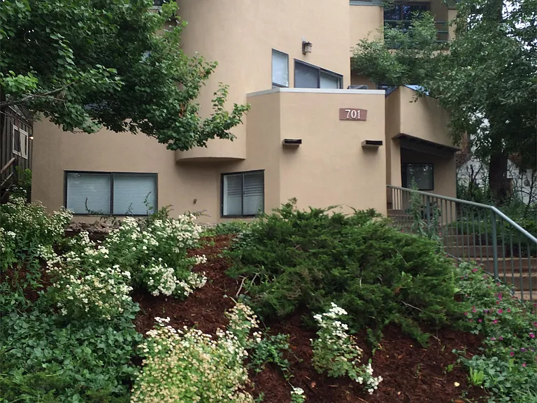 701 Pearl St #5 — Photo 23