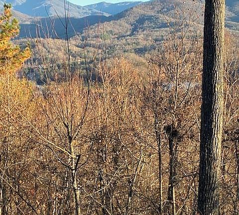 2nd image of 33 Eagles View Rd