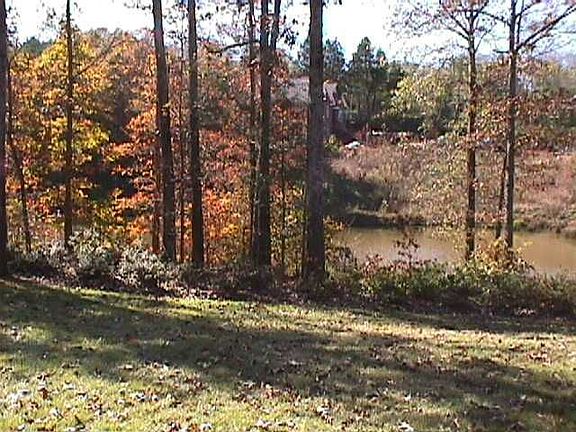 View of pond from front yard