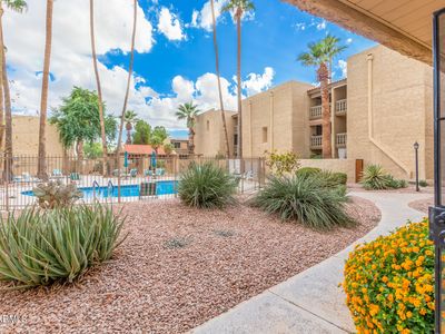 4950 N Miller Rd APT 142, Scottsdale, AZ, 85251