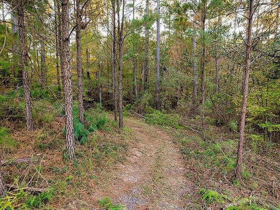 2nd image of LOT 58 Lake Forest Ln