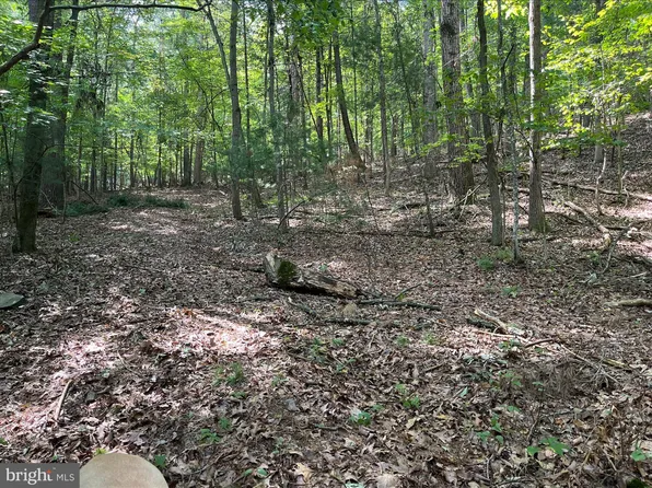 0 Dry Creek Rd, Luray, VA 22835