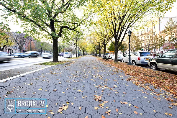 Rented by null | media 23