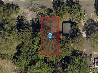 602 E Jackson Ave, Mount Dora, FL 32757