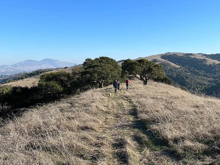 109 Rancho De La Rosa Rd — Photo 35
