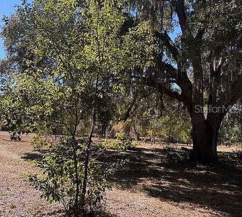 2nd image of 19128 Dorman Rd