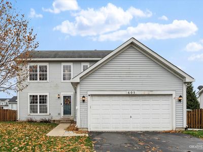 605 Ramsden Rd, Plano, IL, 60545